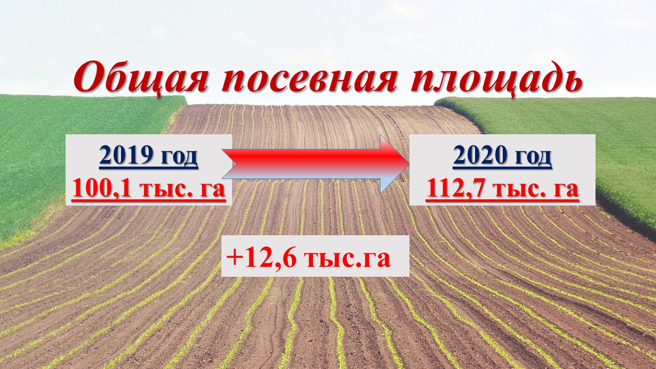 Карта посевной черепановский район